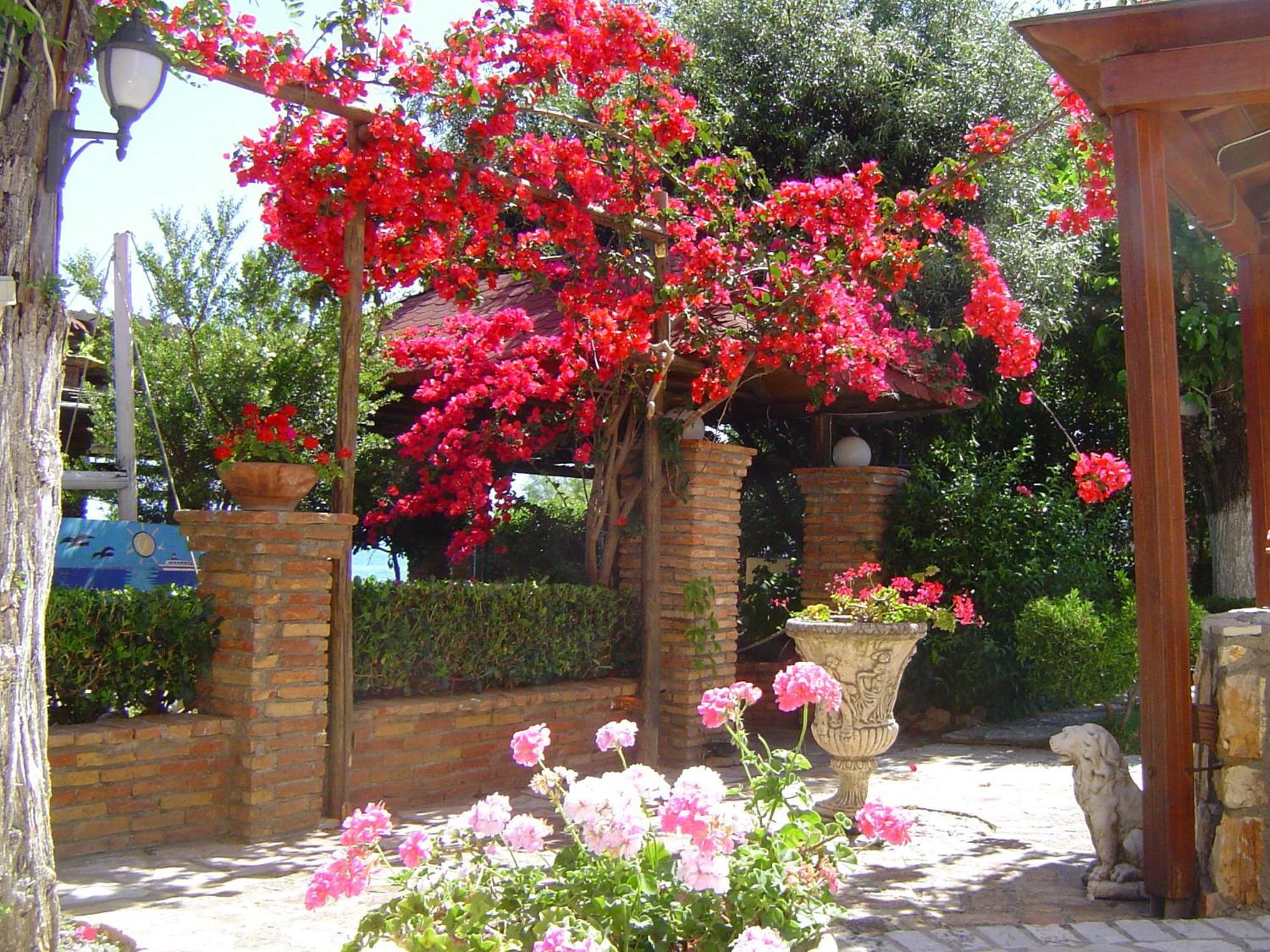 Castella Beach Alissos Exterior photo
